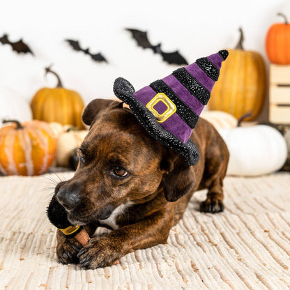If the Broom Fits – Halloween Costume Dog Toy Set