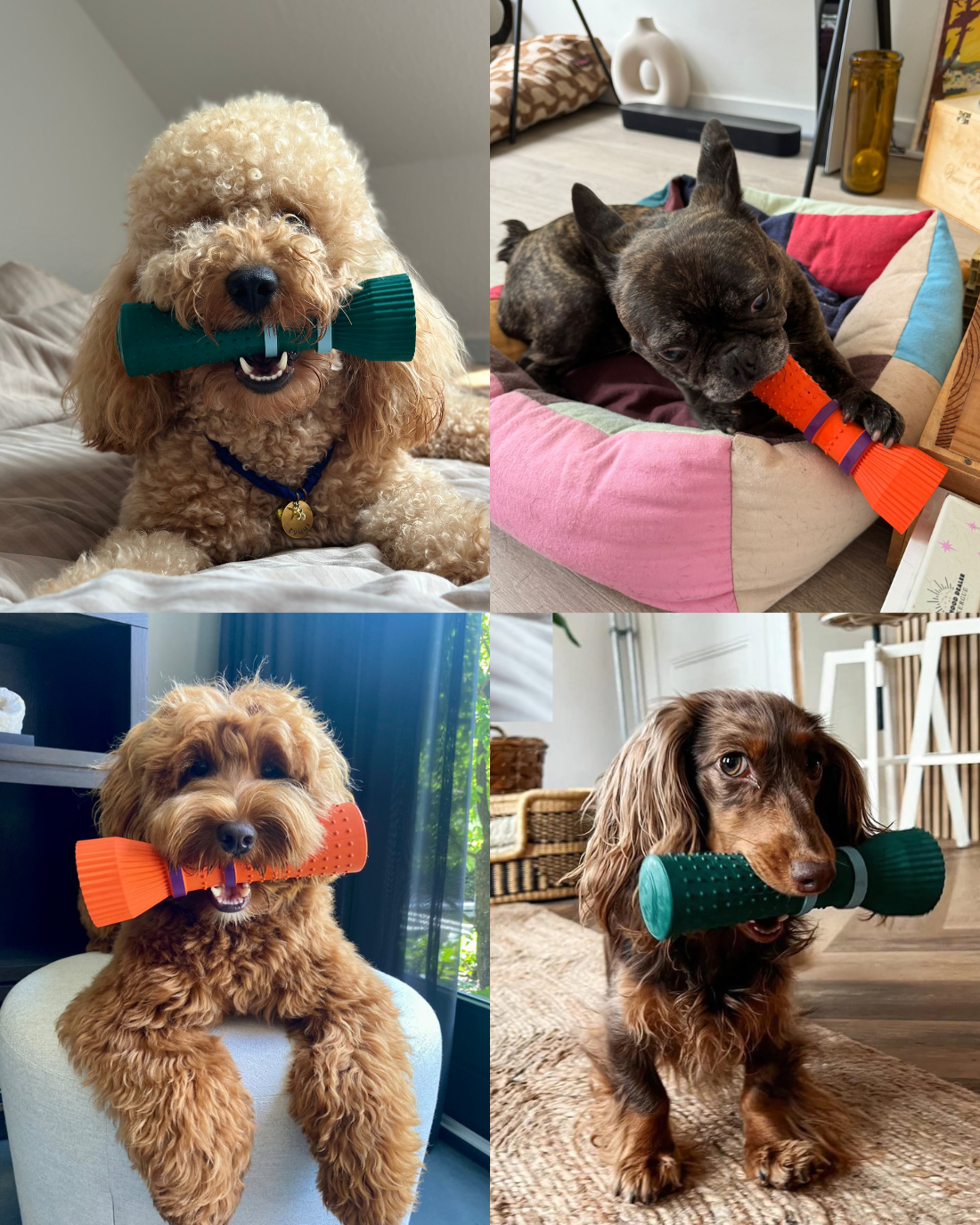 Chewing Dog Toy - Orange Zoomies Cone in Natural Rubber - Share Happy Outfits