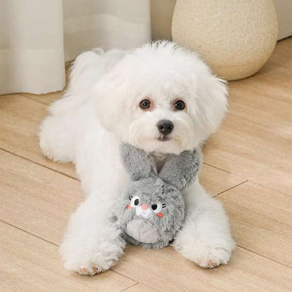 White dog wearing a gray scarf with a plush toy on a wooden floor.