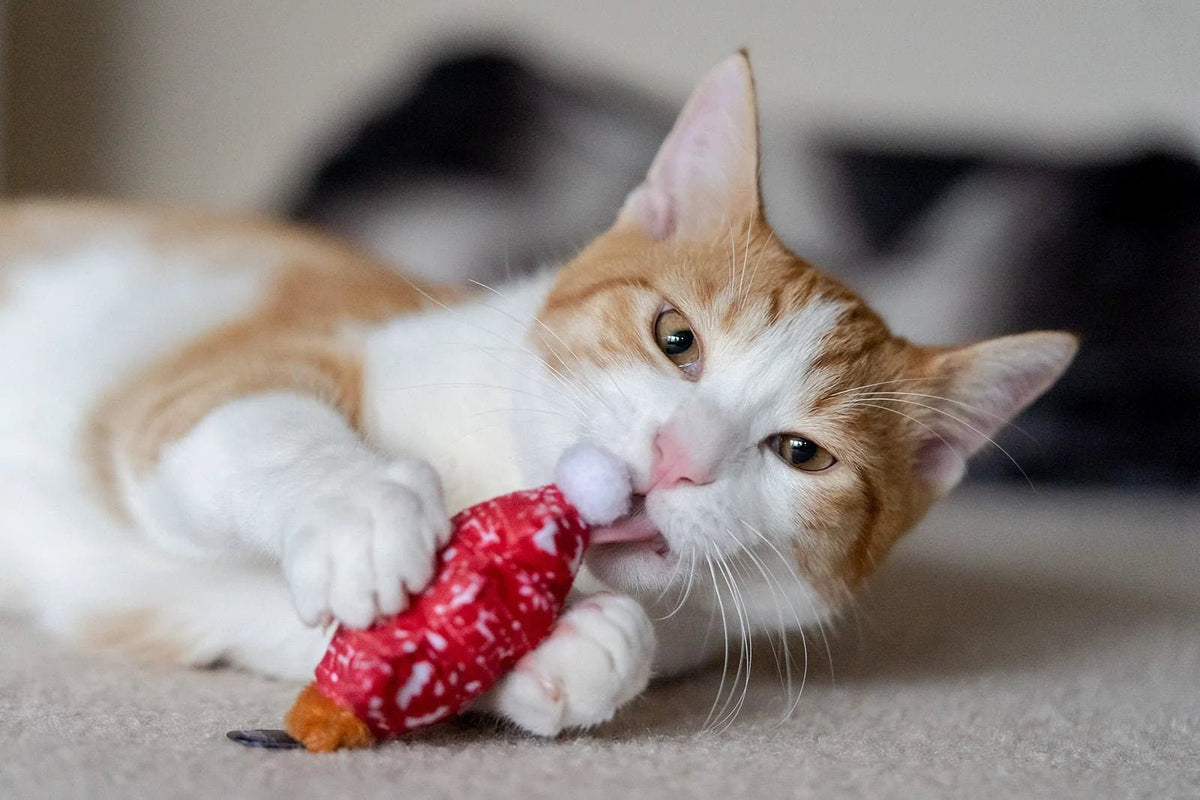 Feline Frenzy Meowy Christmas - 2-Piece Christmas Catnip Toy Set