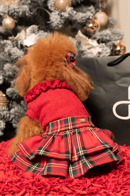 Small dog in a red outfit with plaid skirt standing in front of a Christmas tree.