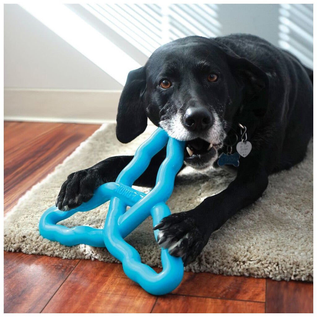Dog playing with a blue chew toy on a wooden floor.