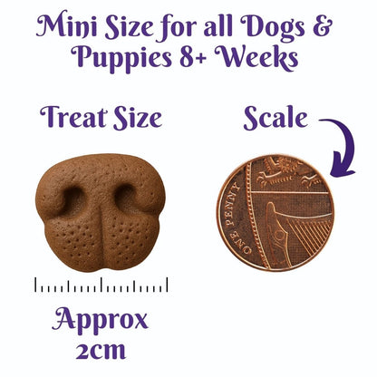 Friendly Noses Classic Favourites Dog Treats Box (240g) - Grain-Free Assorted Dog Snacks | Natural Training Treats | 6 Flavours Variety Pack - Share Happy Outfits