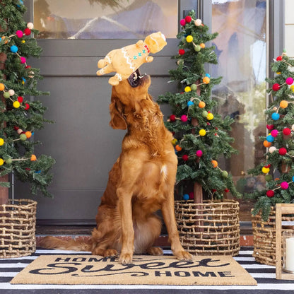 Dog playing with a toy on a &
