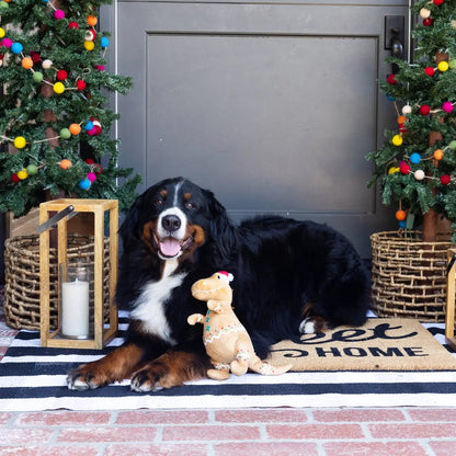 Dog sitting on a doormat with Christmas decorations and trees in the background