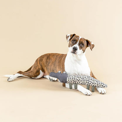 Dog lying on a beige surface with a toy resembling a lizard