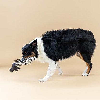 Dog playing with a plush toy on a beige background