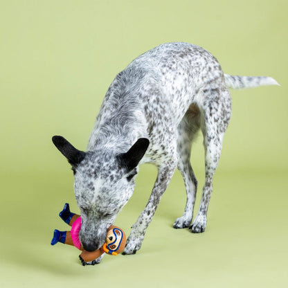 Dog playing with a toy on a green background