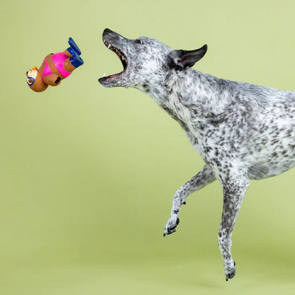Dog playing with a toy against a green background