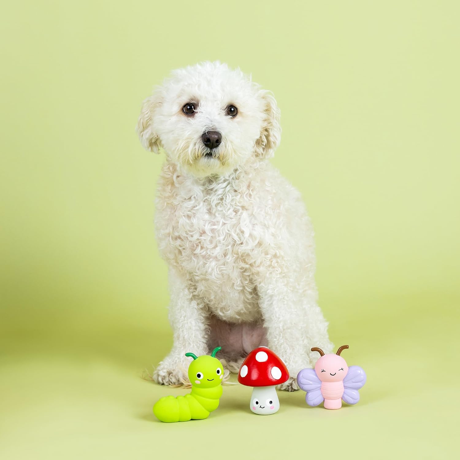White dog sitting next to three colorful toys on a light green background