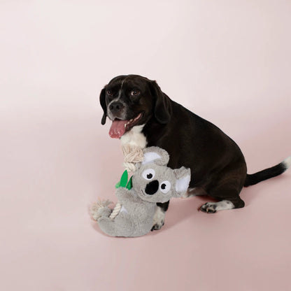 Dog playing with a koala toy on a pink background