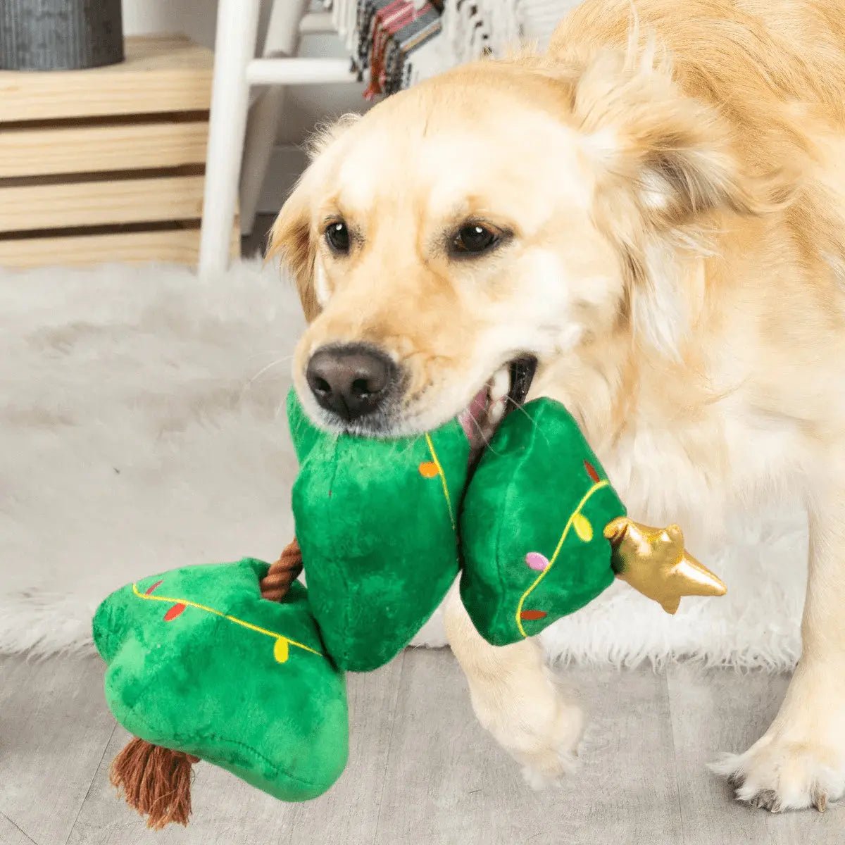 Fringe Studio Light Me Up - Christmas Tug &amp; Squeaky Dog Toy - Share Happy Outfits