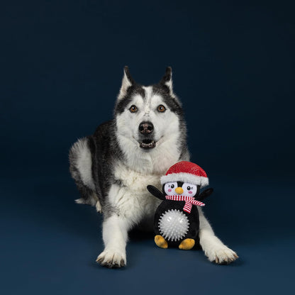 Dog sitting next to a penguin-shaped toy with a red hat on a dark blue background