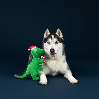 Dog with a green dinosaur toy wearing a Santa hat on a dark background