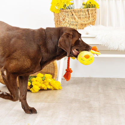 Dog playing with a yellow toy on a light wooden floor.