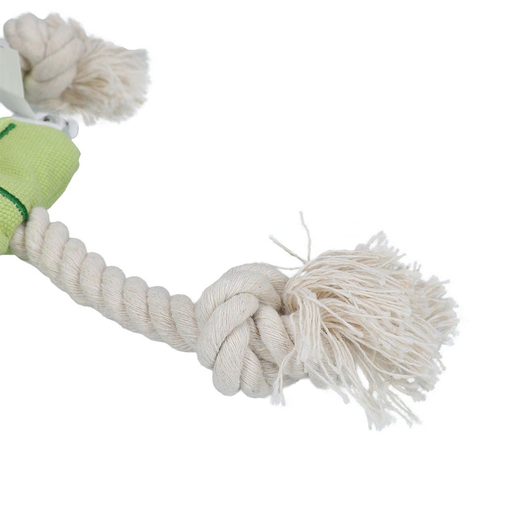 Dog toy with rope and green chew stick on a white background