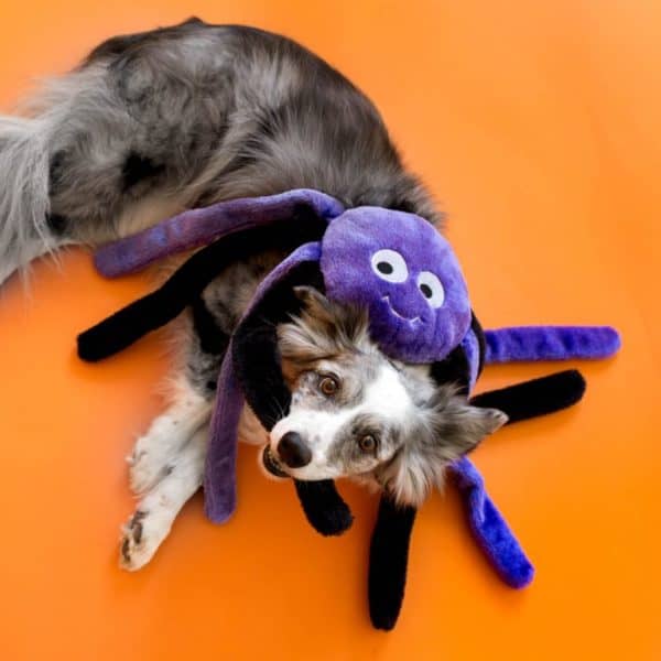 Grunterz Purple Spider - Giant Plush Halloween Dog Toy