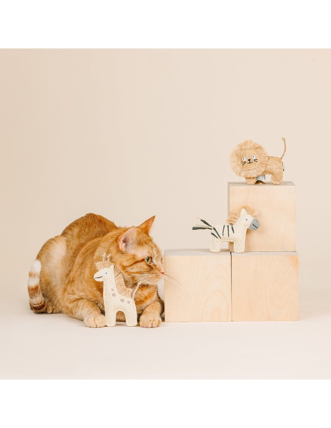 Having a Wild Time! 3-Piece Eco-Friendly Cat Toy Set - Share Happy Outfits
