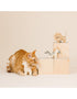 Having a Wild Time! 3-Piece Eco-Friendly Cat Toy Set - Share Happy Outfits