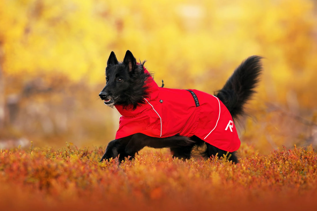 Hayton Eco Water‑Repellent &amp; Breathable Raincoat - Share Happy Outfits