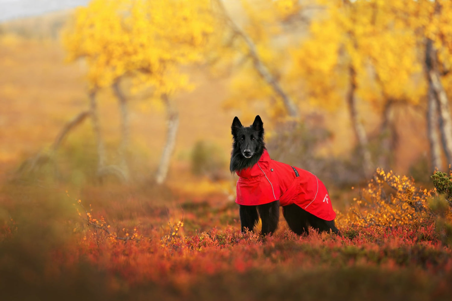 Hayton Eco Water‑Repellent &amp; Breathable Raincoat - Share Happy Outfits