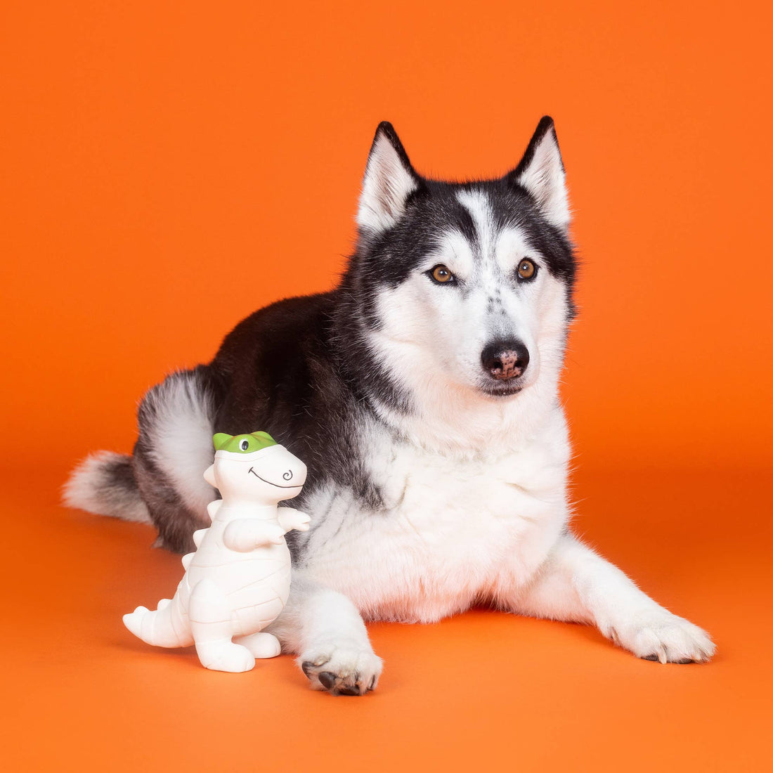 Fringe HERE TO GAUZE TROUBLE LATEX DOG TOY - Share Happy Outfits