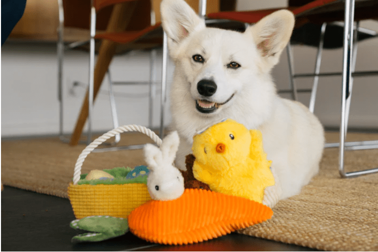 Dog with Easter-themed toys with a dog
