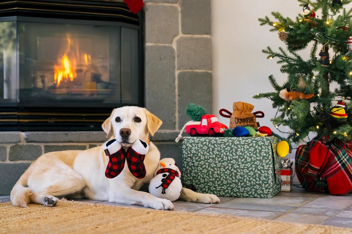 Home for the Holidays Mittens - Christmas Rope Dog Toy
