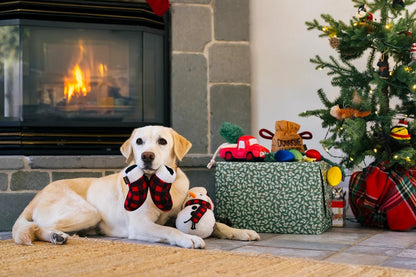 Home for the Holidays Mittens - Christmas Rope Dog Toy
