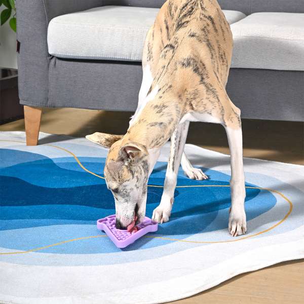 Dog eating from a purple food puzzle toy on a patterned rug.