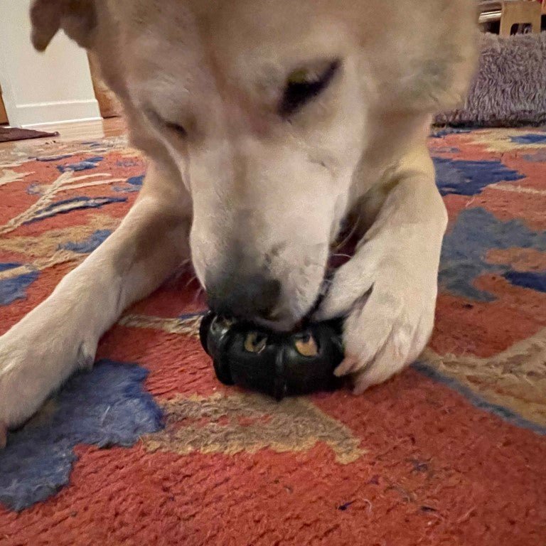 Dog playing with a black ball on a patterned rug