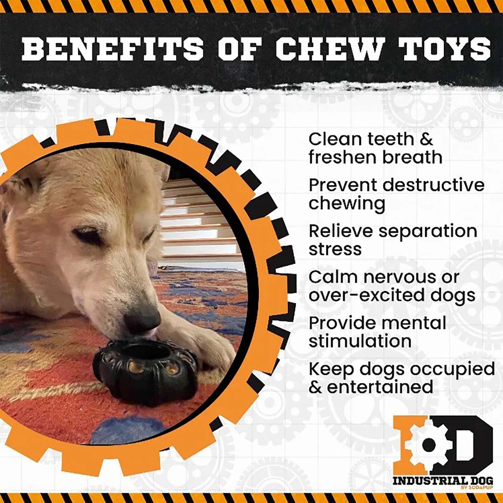Dog chewing on a toy with text listing benefits of chew toys.