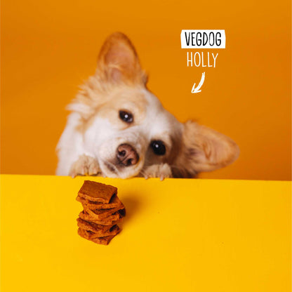 Dog with a stack of dog treats on an orange background, featuring the brand &