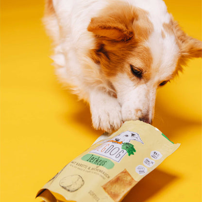 Dog sniffing a package of dog treats on a yellow background