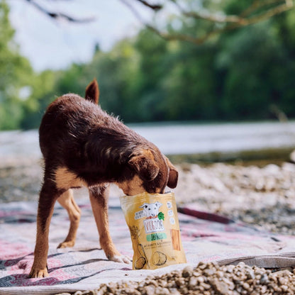 Dog sniffing a bag of pet treats by a lake