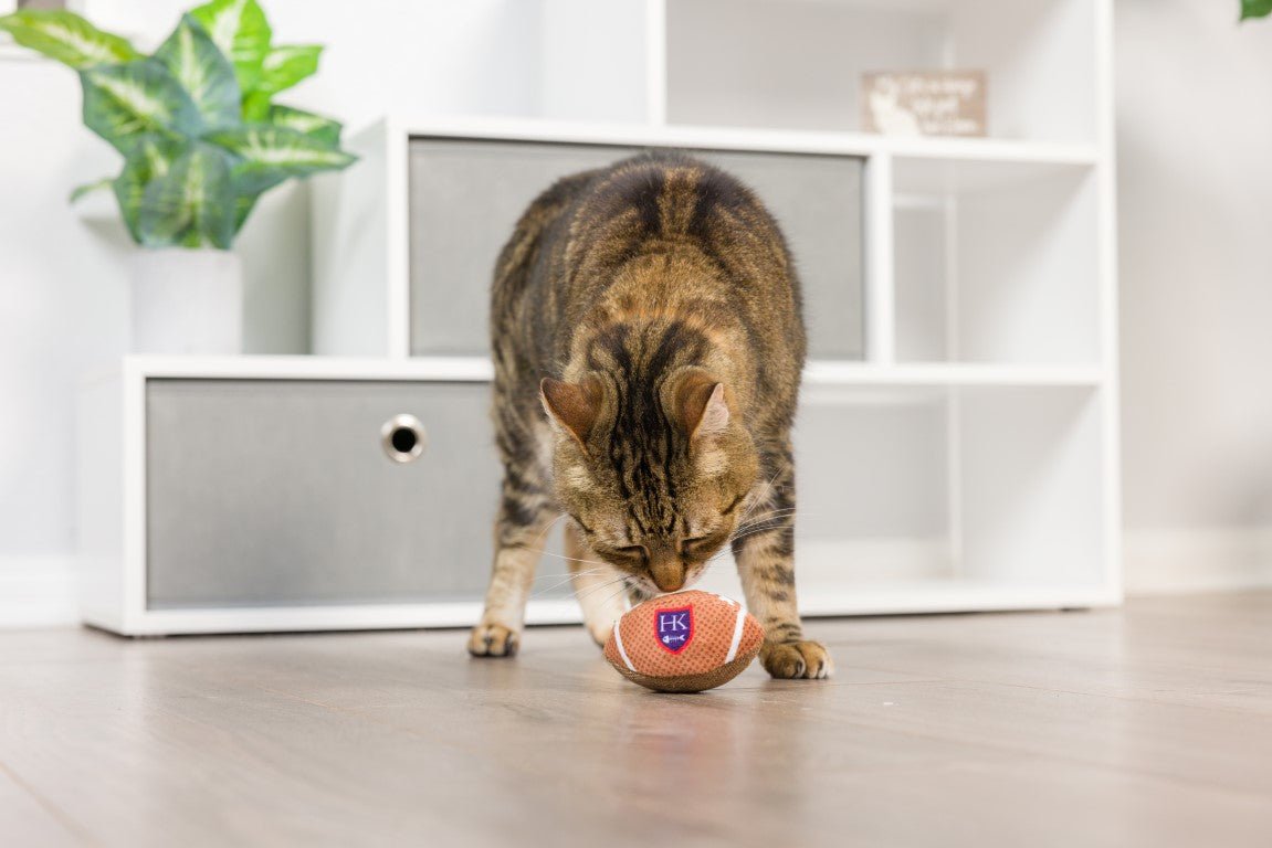 Cat playing with a ball of yarn on a wooden floor.