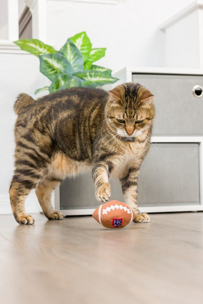 Cat playing with a football-shaped toy on a floor.
