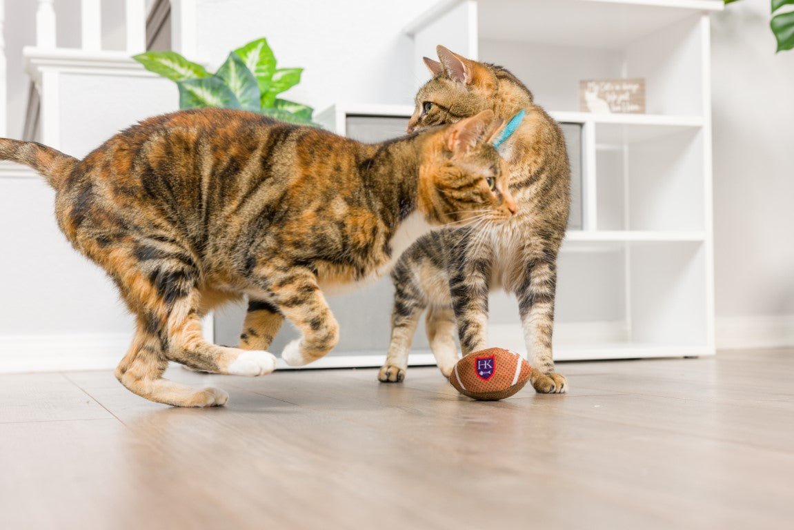 Two cats interacting with a football toy on a wooden floor.