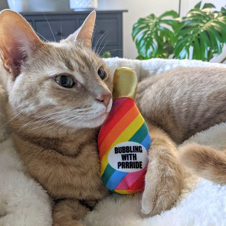 Cat playing with a rainbow-colored toy labeled &