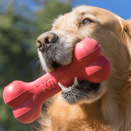 KONG Holiday Goodie Bone - Medium Natural Rubber Treat-Dispensing Dog Toy - Share Happy Outfits