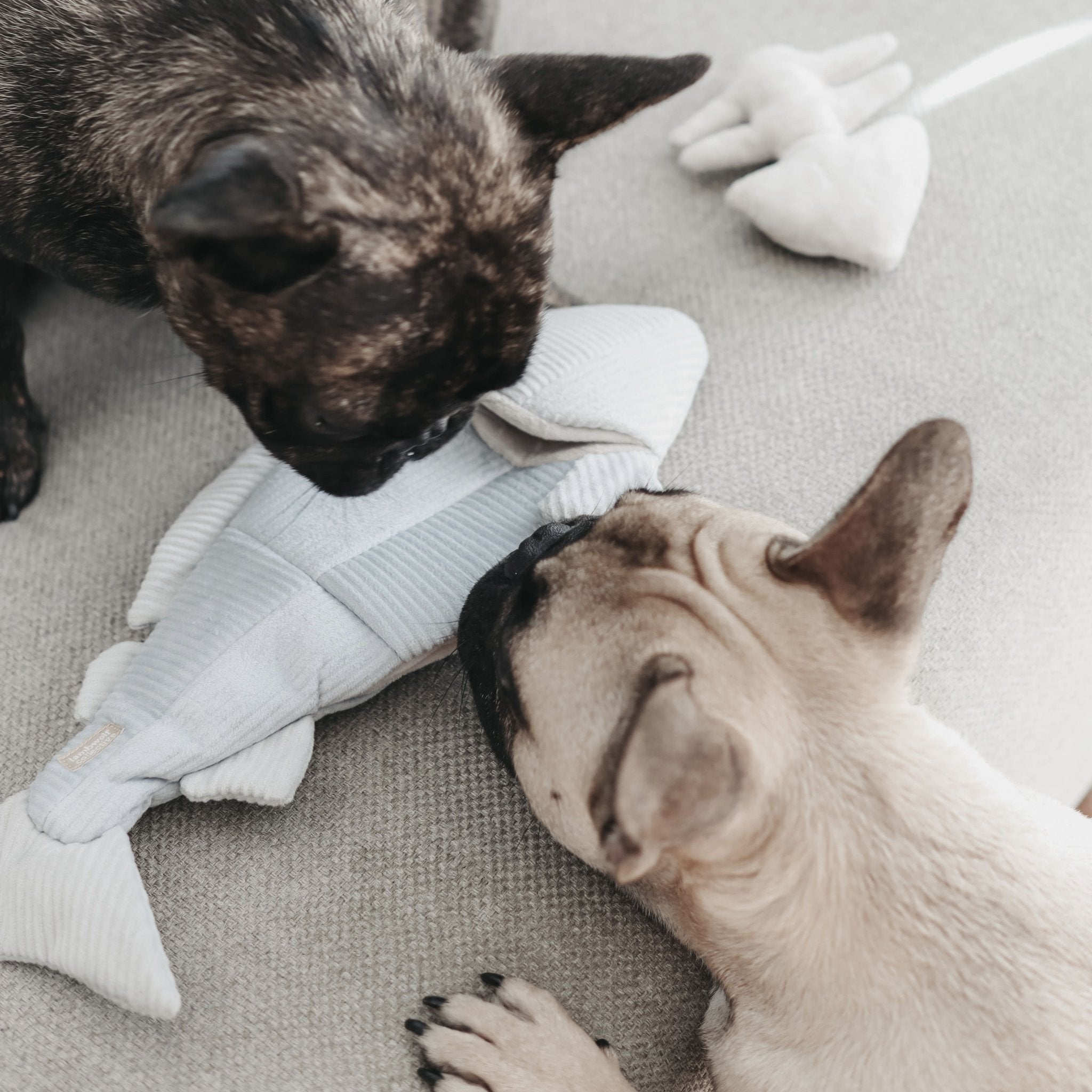 Lambwolf Collective Trout – 2-in-1 Burrow &amp; Snuffle Dog Toy - Share Happy Outfits