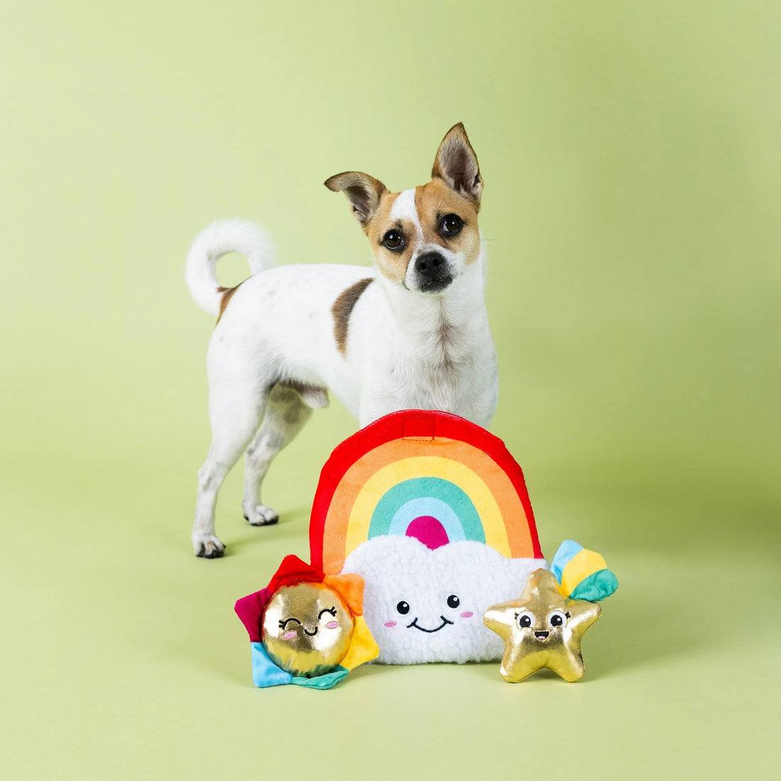 Look On The Bright Side Rainbow Hide &amp; Seek Burrow - Share Happy Outfits