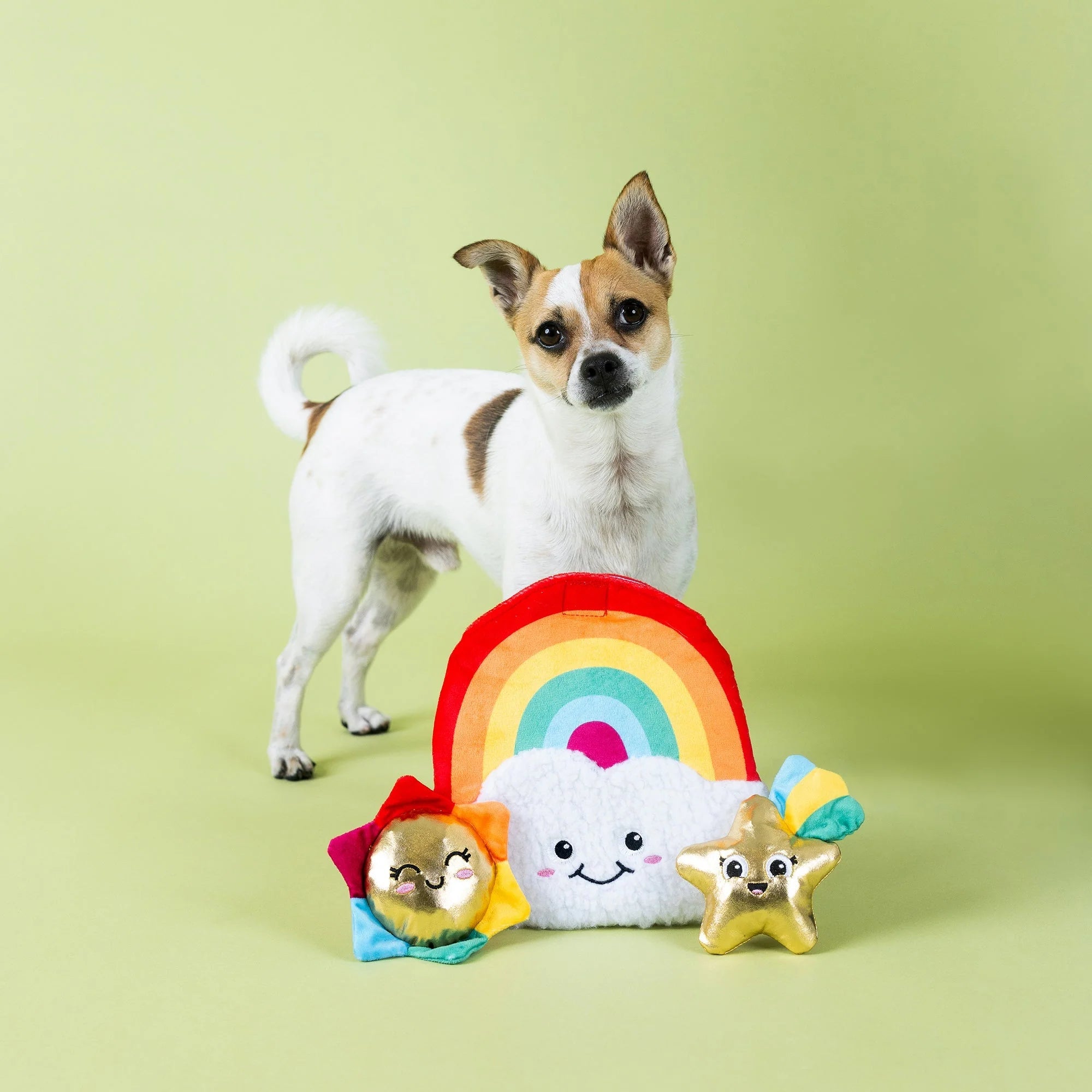 Look On The Bright Side Rainbow Hide &amp; Seek Burrow - Share Happy Outfits