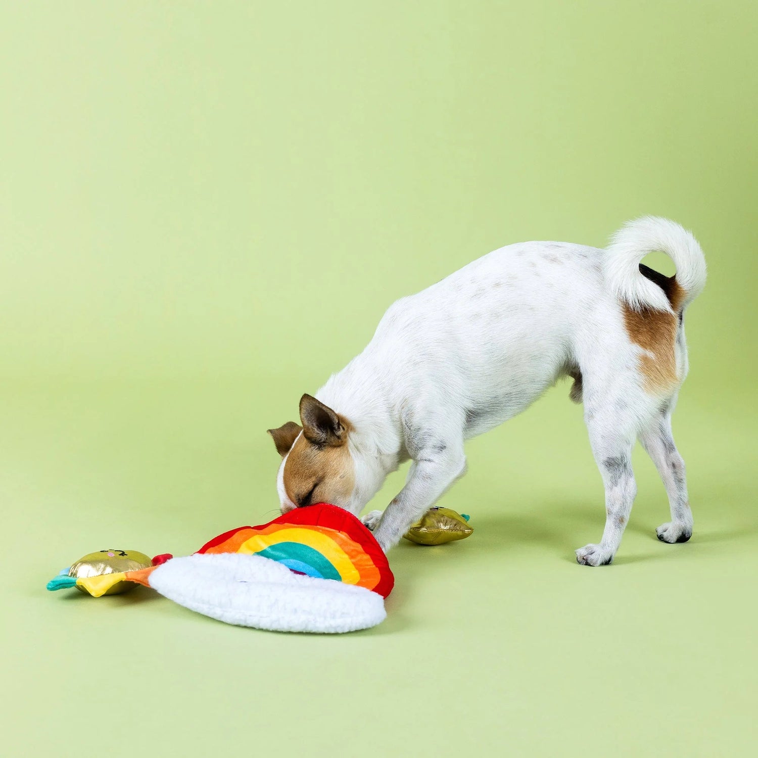 Look On The Bright Side Rainbow Hide &amp; Seek Burrow - Share Happy Outfits