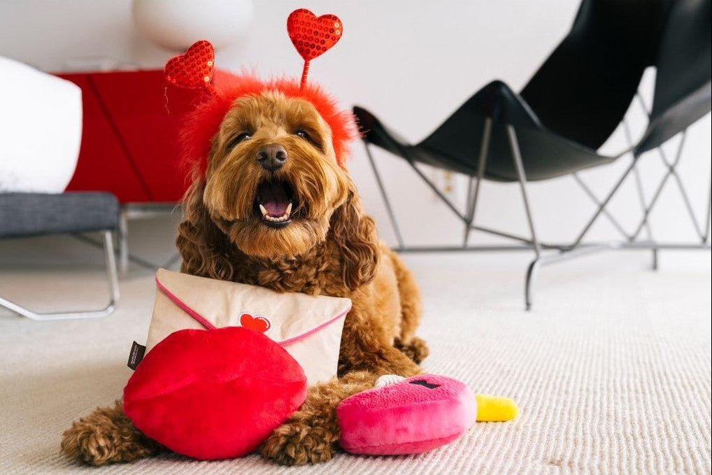 Dog wearing a devil costume with red horns and tail, sitting on a carpeted floor.