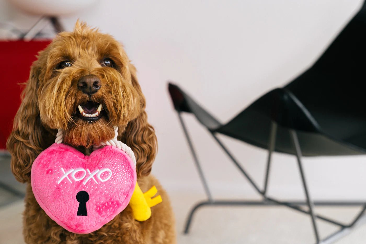 Dog holding a pink heart-shaped toy with &