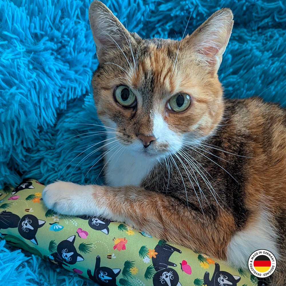 Calico cat lying on a green pillow with black cat pattern against a blue fluffy background