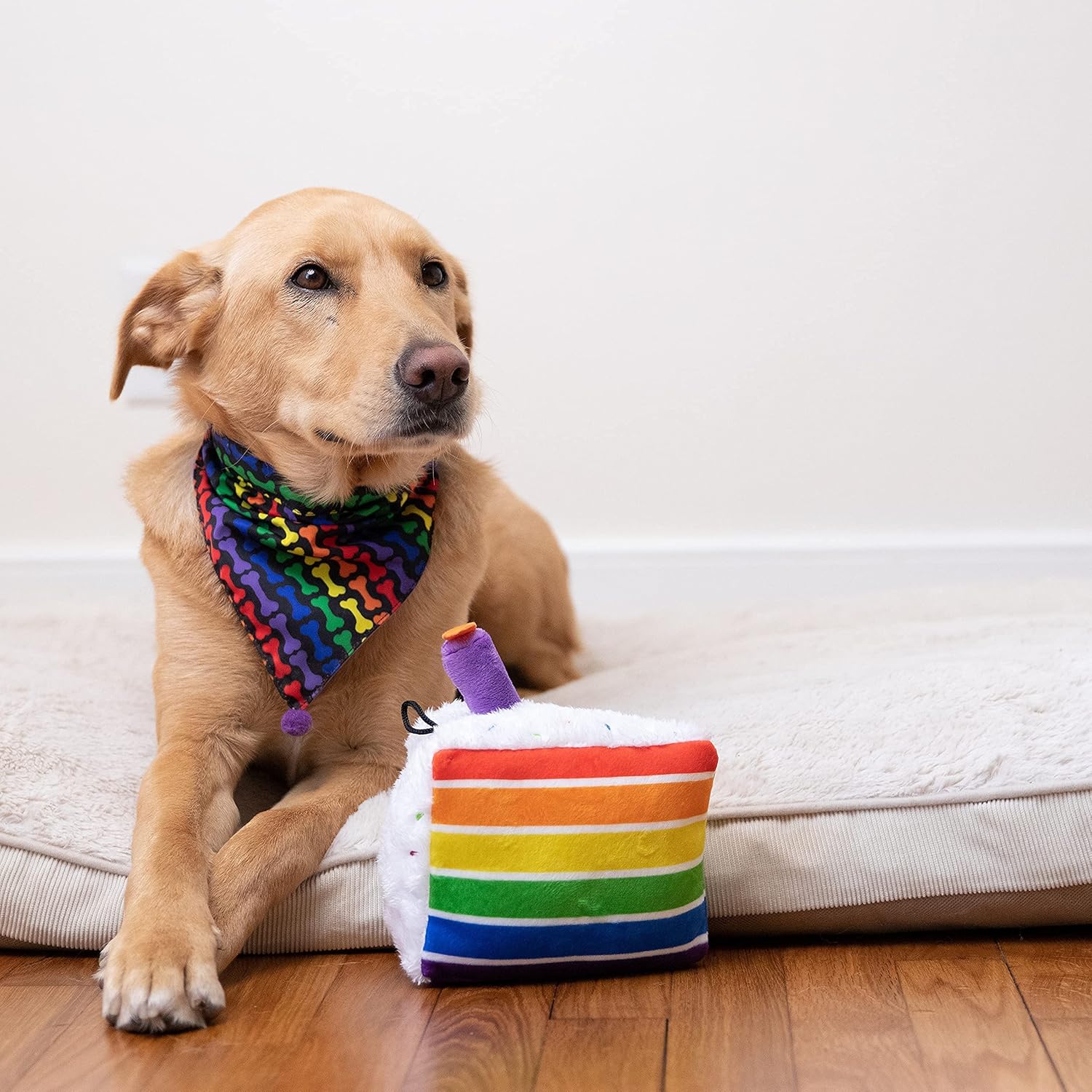 Dog wearing a rainbow bandana with a rainbow-colored plush toy on a white couch.