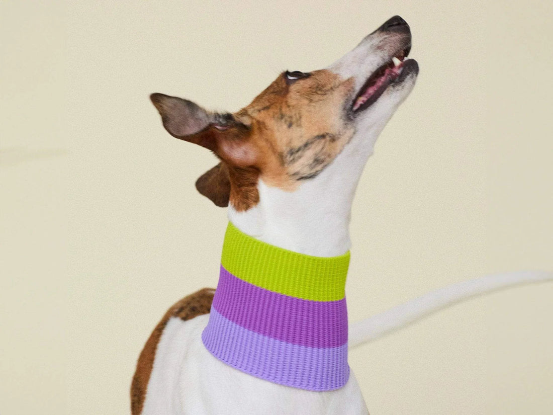 Viola Spring - The Glow Loop - Share Happy Outfits