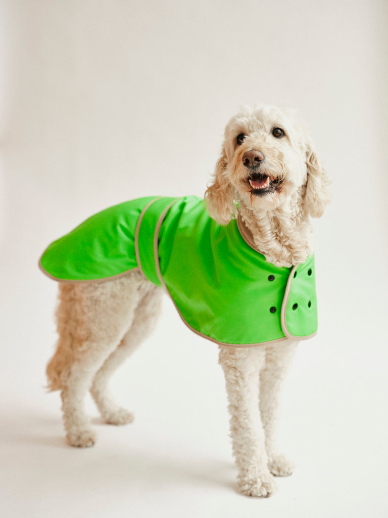 The Glow Raincoat - Green - Regular Fit - Share Happy Outfits